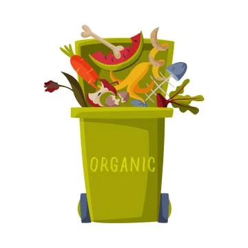 Waste Sorting, Green Trash Can with Sorted Organic Garbage, Segregation and Stock Illustration
