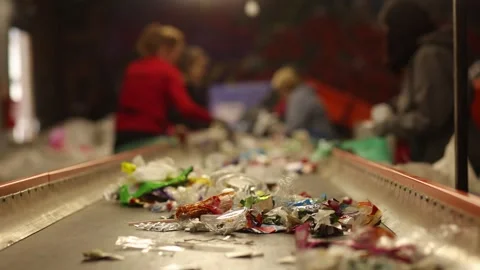Waste Sorting Process Stock Footage 318420942