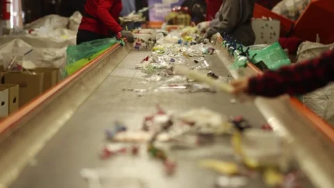 Waste Sorting Process Stock Footage 318421047