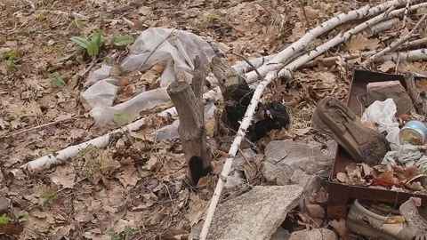 WASTE IN SPRING FOREST PANORAMA Stock Footage 76970359