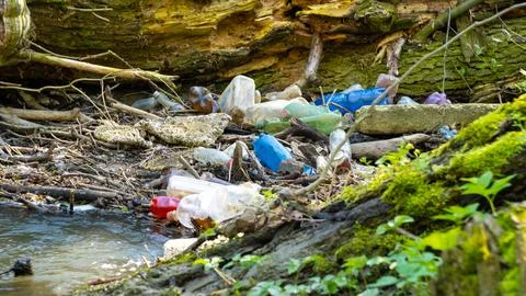 Waste in a stream in the forest Stock Photos