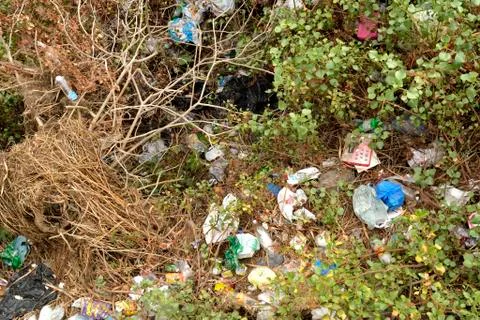 Waste through the plants Stock Photos
