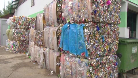 Waste Transported Through Industrial Sorting Line Stock Footage 343732759
