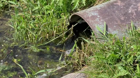 Waste water flows out of the pipe into the pond. The problem of sewage poll.. Stock Footage 241210864