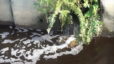 Waste water Stock Footage 146165319