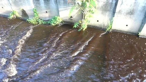 Waste water Stock Footage 146165516