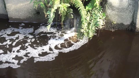 Waste water Stock Footage 146166001