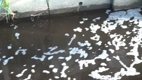 Waste water Stock Footage 146166348