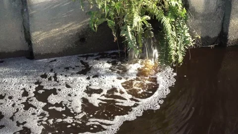 Waste water Stock Footage 146166716