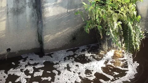 Waste water Stock Footage 146166745