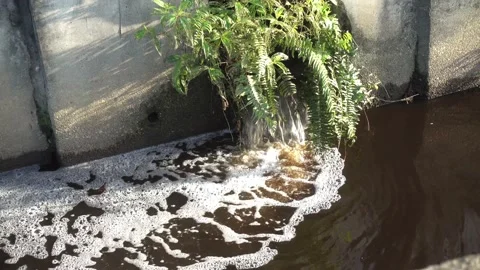 Waste water Stock Footage 146166819