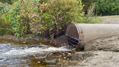 Waste water from the pipe flows into the river. Water pollution concept Stock Footage 221463742