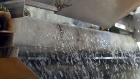 Waste of water in a washing pineapple machine in a food industry Stock Footage 249245856