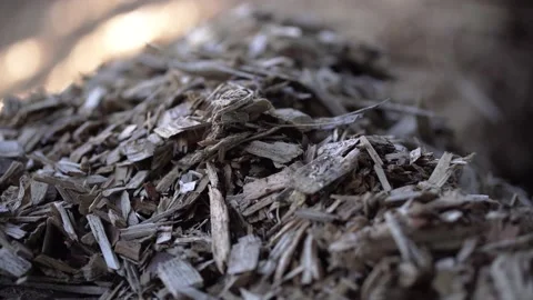 Waste from wood processing Stock Footage 144289623