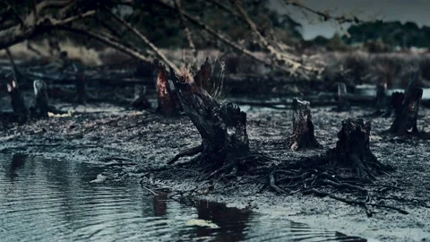 Wasteland Stock Footage 165569477