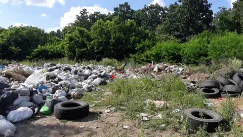 Wasteland in a forest. Problem of pollution Stock Footage 247055845