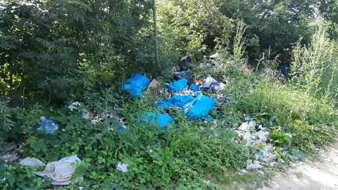 Wasteland in a forest. Problem of pollution Stock Footage 247055865