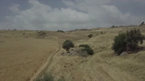 Wasteland of the plain. Stock Footage 149109237