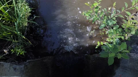 Wastewater flowing through concrete pipe in to a small pond Stock Footage 314599541