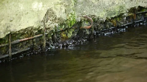 Wastewater Stock Footage 33625518