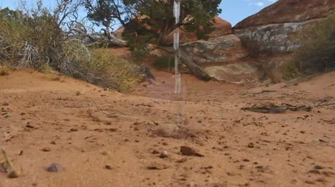 Wasting water in forest droping dropping Video stock 55625776