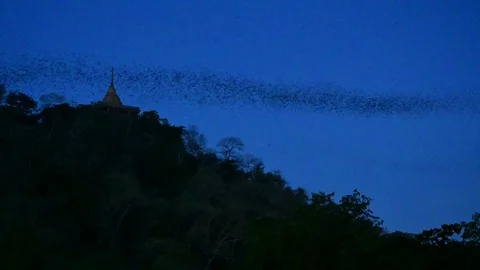Wat Khao Chong Pran, Ratchaburi Province, Thailand. Stock Footage 101220293