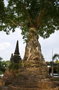 Wat Mae Nang Pleum Stock Photos