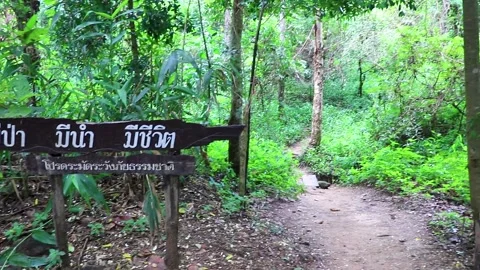 Wat Pha Lat temple information sign board Chiang Mai Thailand. Video stock 306214106