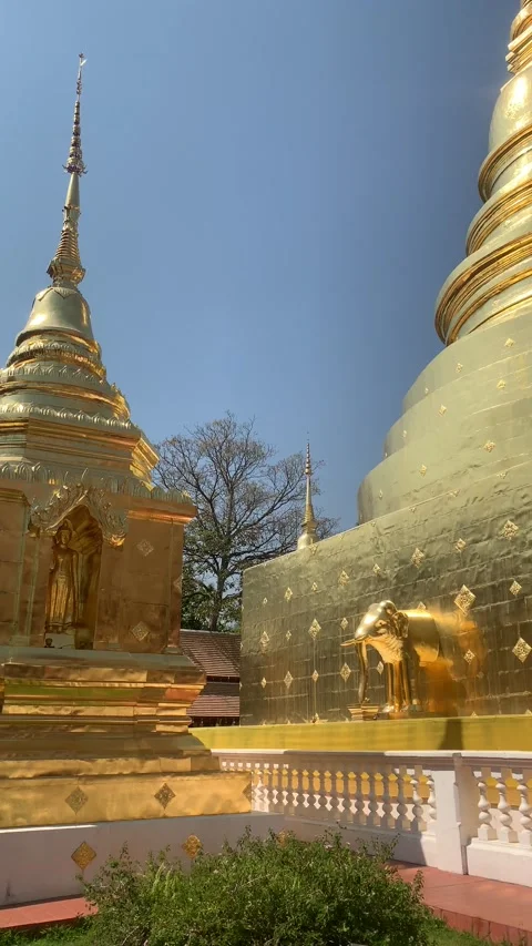 Wat Phra Singh Buddhist temple in Chiang Mai, northern Thailand. Stock Footage 165065673