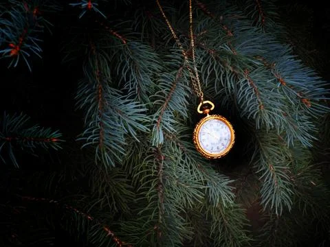 Watch on a branch Stock Photos