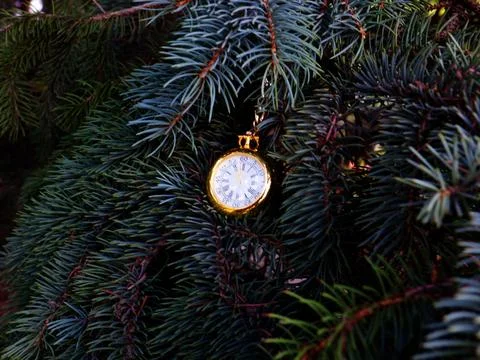 Watch on a branch Stock Photos