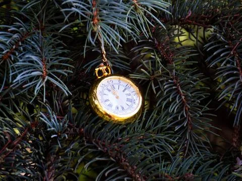 Watch on a branch Stockfoto's