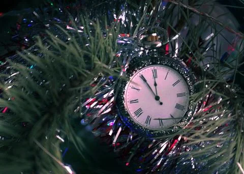 Watch on a branch Foto stock