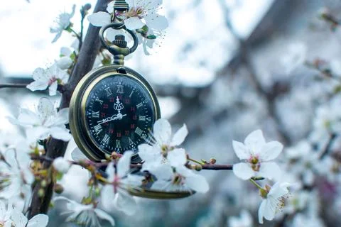 Watch on a chain Stock Photos