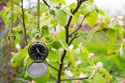 Watch on a chain Foto stock