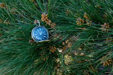 Watch on a chain Stock Photos