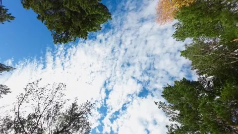 Watch clouds move through trees in a park in fall as bright blue sky shows signs Stock Footage 327925178
