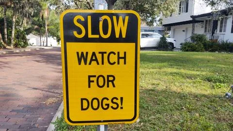 Watch for dogs! Stock Photos