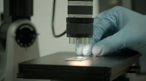 Watch Glass with liquid sample put under microscope in laboratory Video stock 65008578