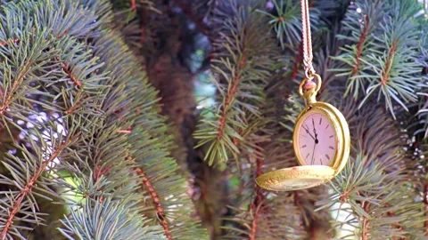 Watch is hanging on branches Stock-Footage 316322225
