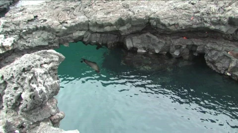 Watch &amp; laugh Stock Footage 294230