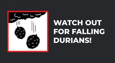 Watch out for falling durians vector sign Stock Illustration