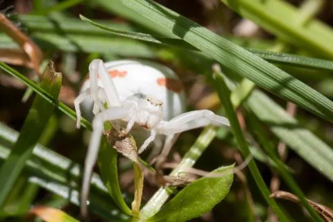 On the watch Foto stock