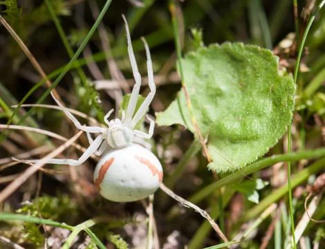 On the watch Foto stock
