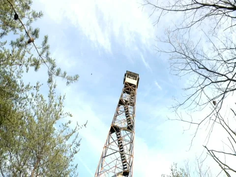 Watch Tower and Bird Stock-Footage 310407