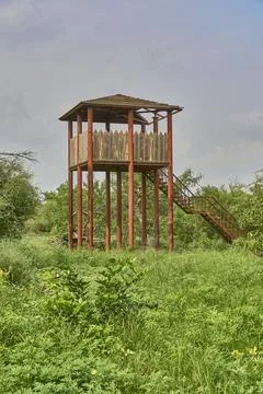 Watch tower in a forest Stock Photos