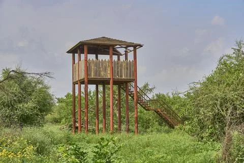 Watch tower in a forest Foto stock