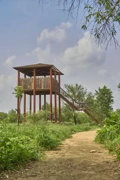 Watch tower in a forest Stock-Fotos