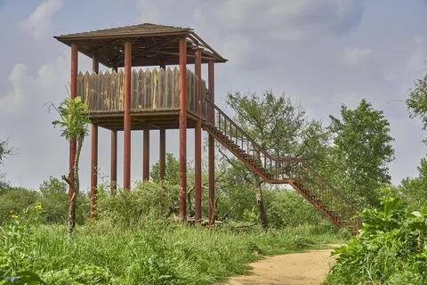 Watch tower in a forest Stock Photos