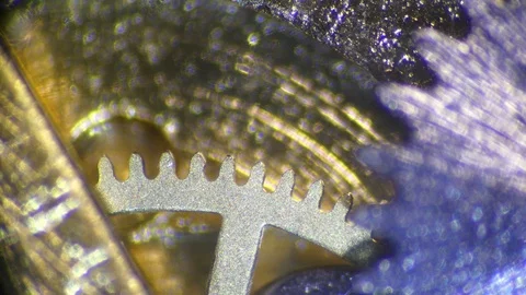 Watch under microscope showing clockwork motion Stock Footage 125385083